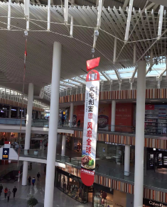 商場(chǎng)電動(dòng)葫蘆